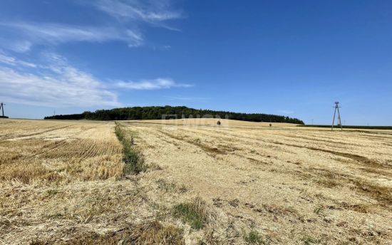 Działka budowlana na sprzedaż Stolec